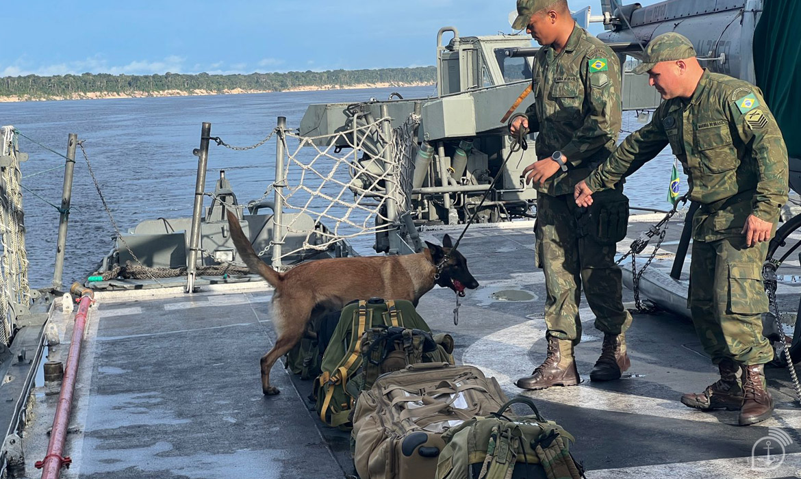 Cão de faro a bordo de navios da Marinha do Brasil