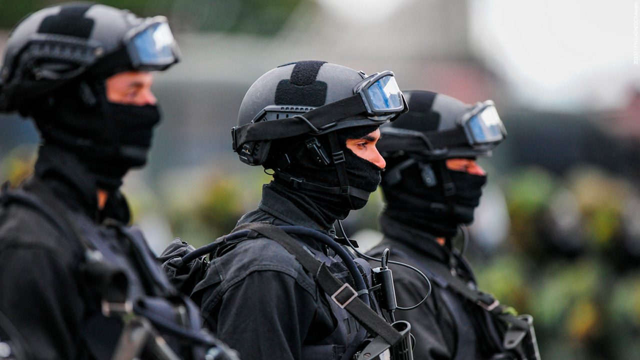 Brazil's Special Forces: their importance and values