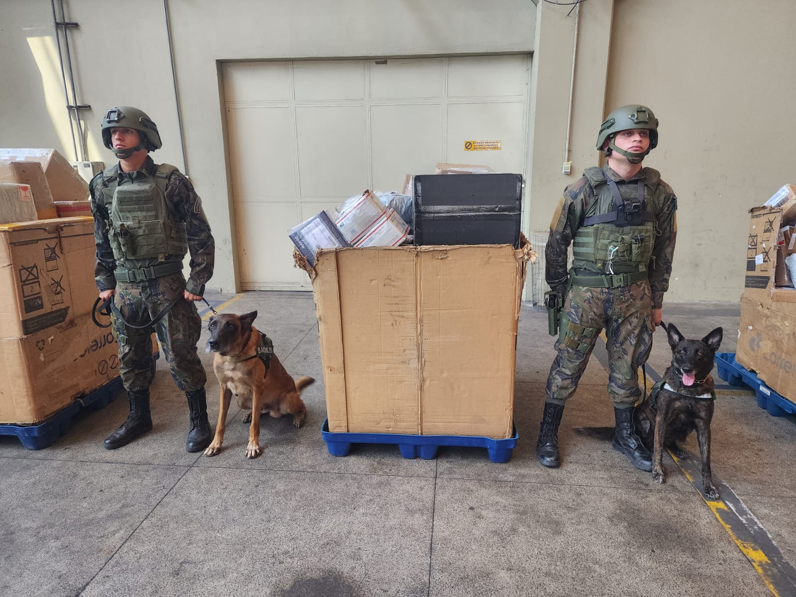 FAB Air Force police take action in Galeão's postal delivery area