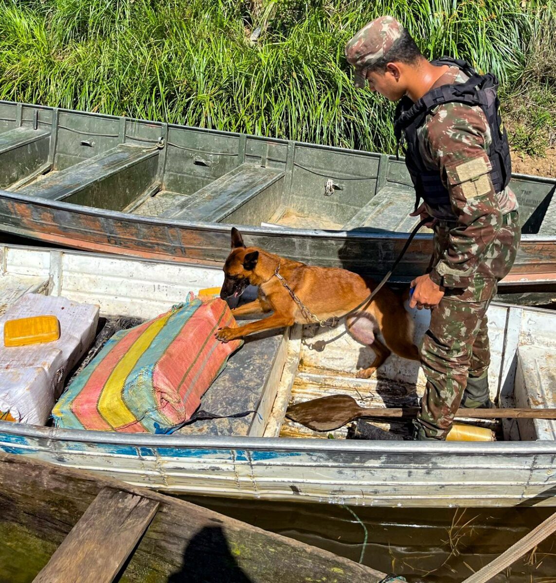 Special Border Platoon seizes 93kg of drugs on the Japurá River (AM)
