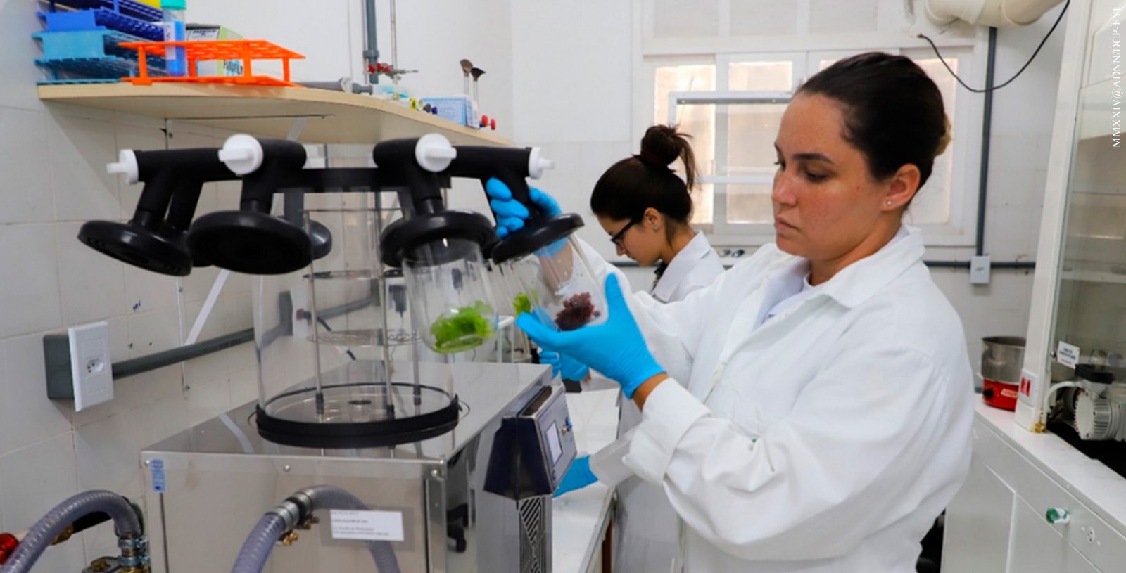 The growing role of women in science and technology in the Brazilian Navy